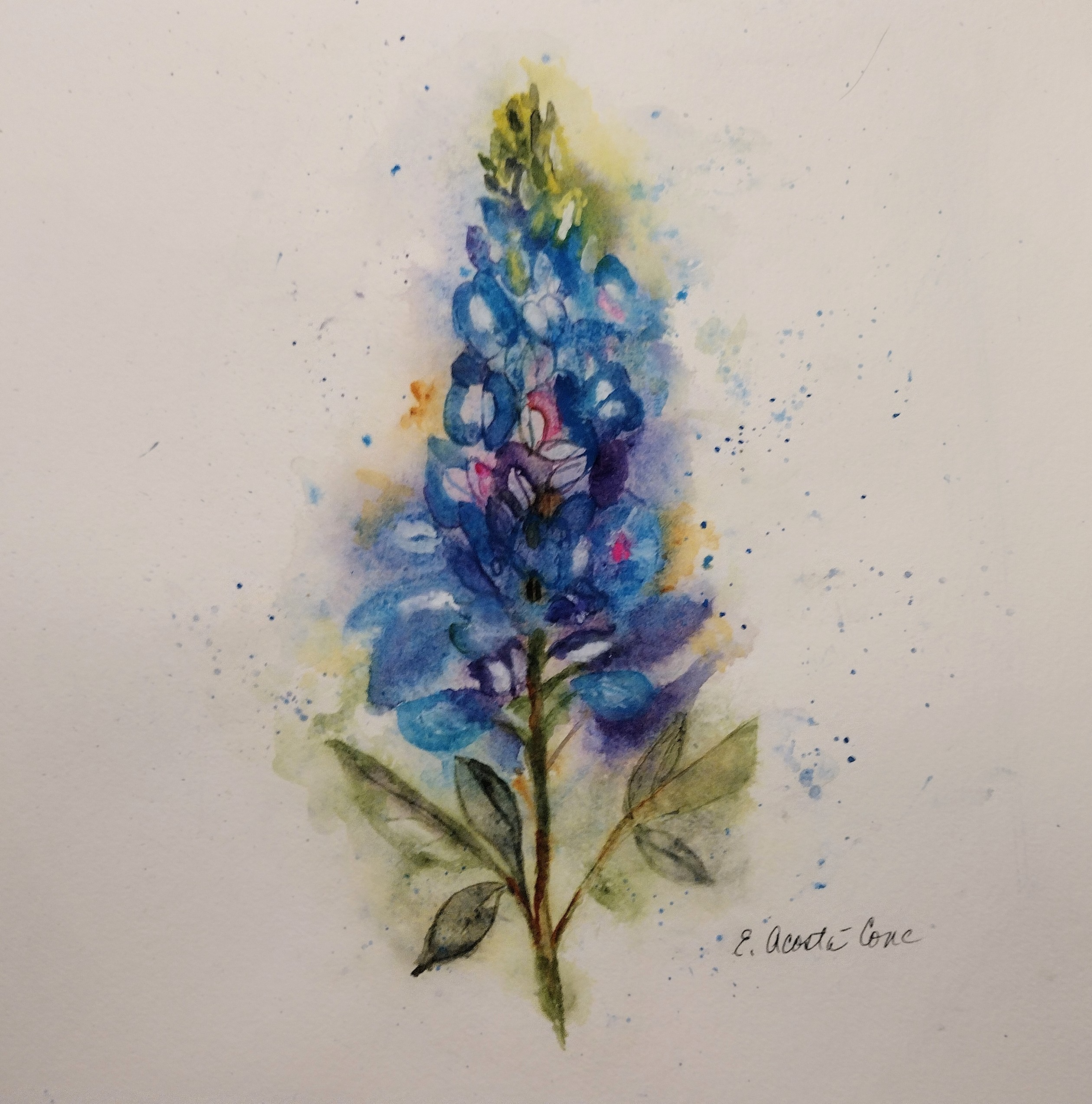 Asian Bluebonnets