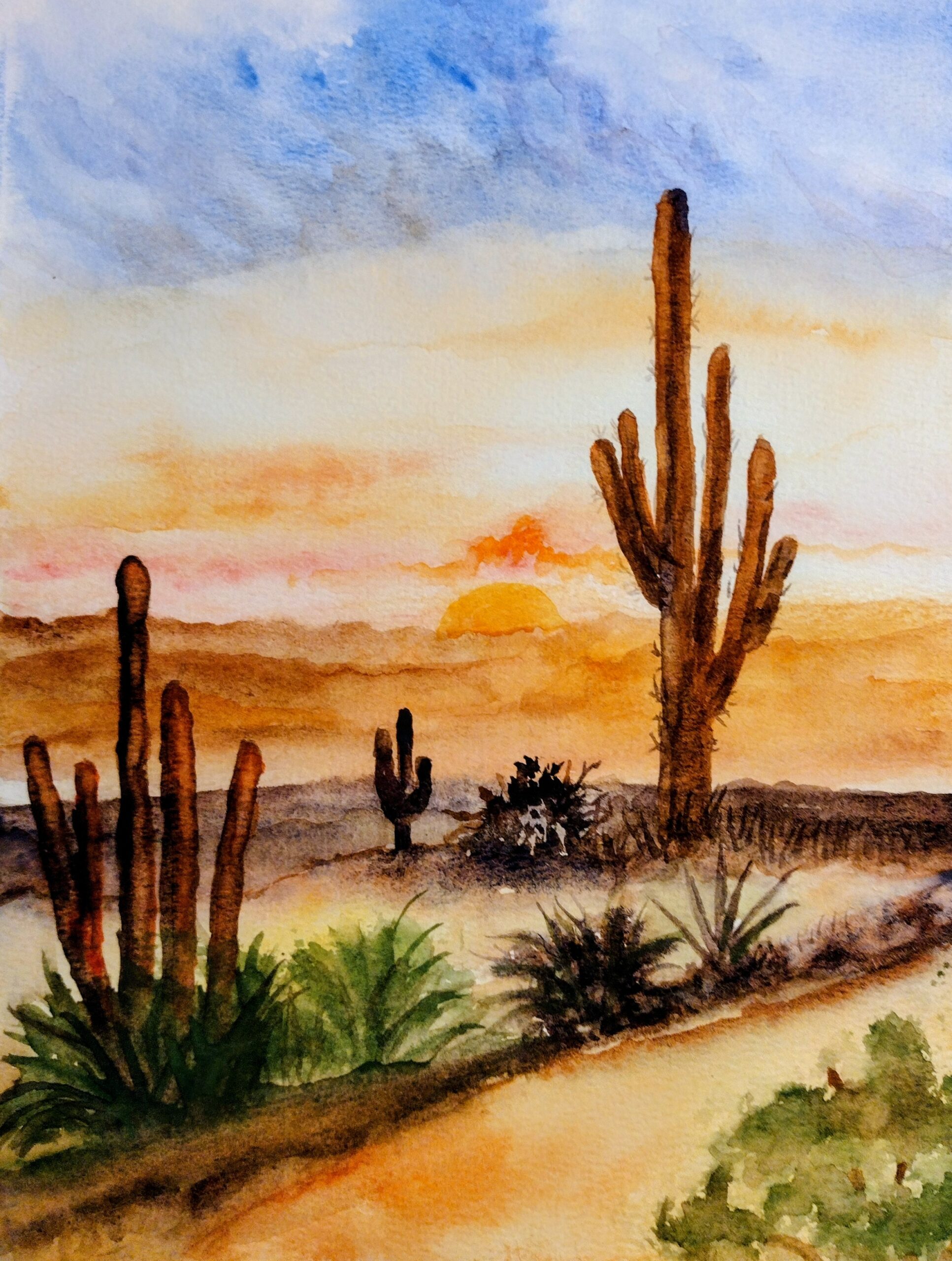 Desert Sunset