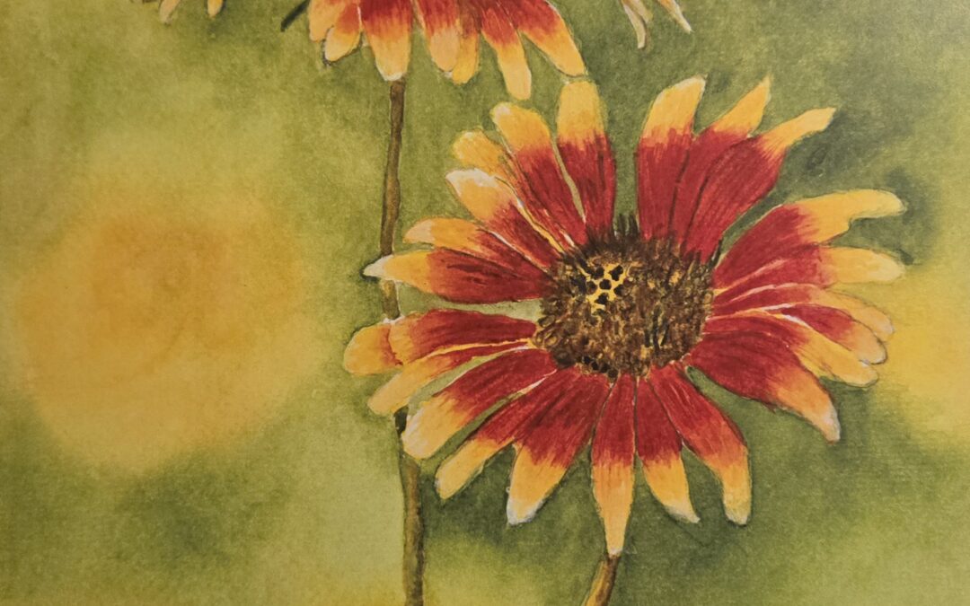 Watercolor Workshop – April 25 – Indian Blanket