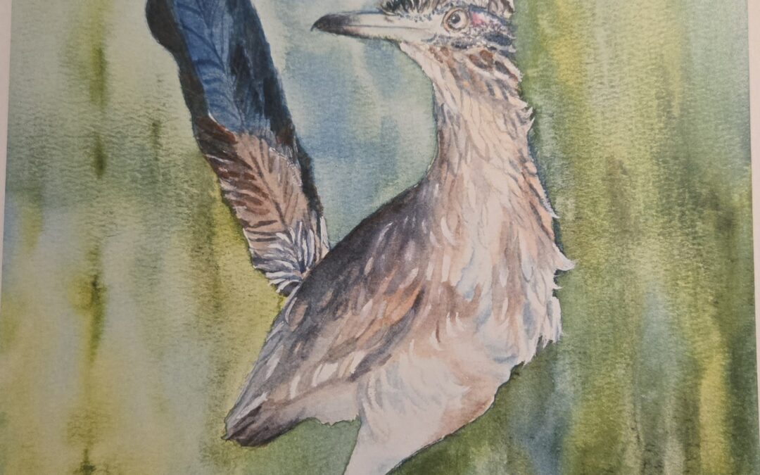 Watercolor Workshop – Jul 18 – Roadrunner
