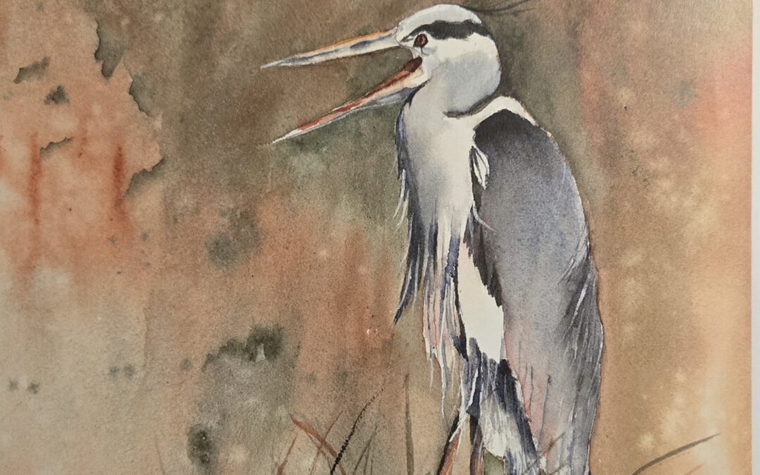 Watercolor Workshop – Sept 26 – Blue Heron