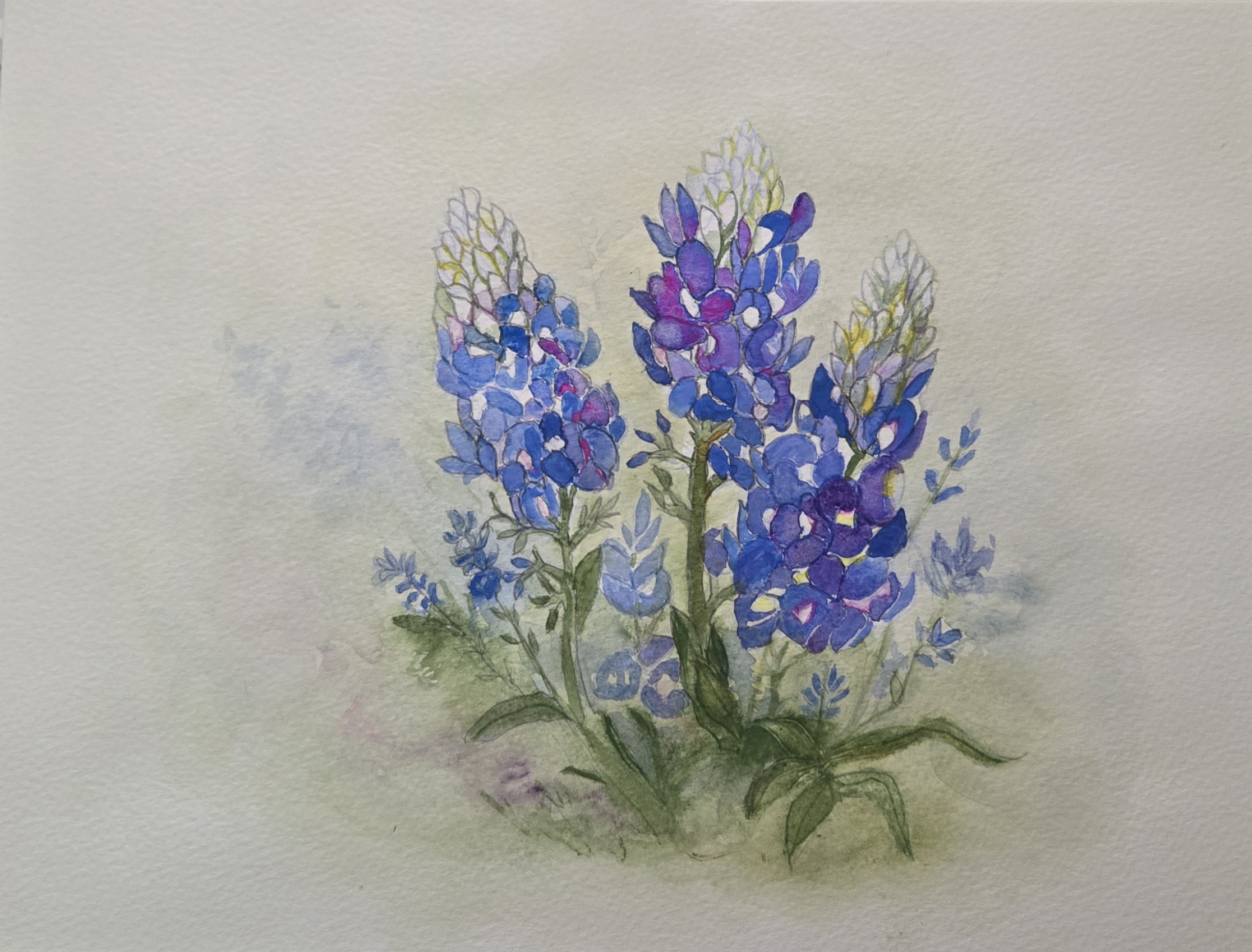 The Old School House