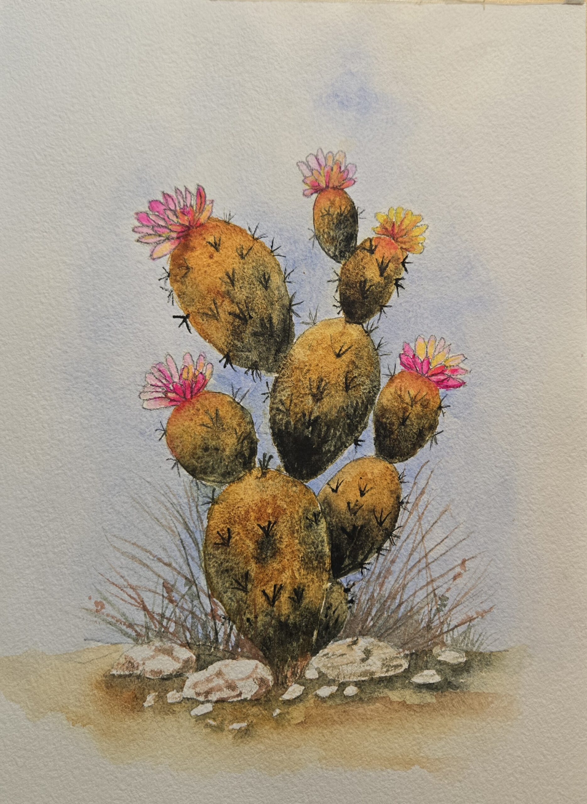 Cactus in Bloom